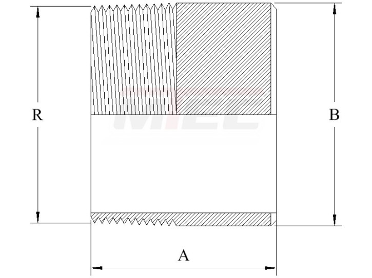 Nippel R21/2" - DN 65 - 316 - (DIN 2986)