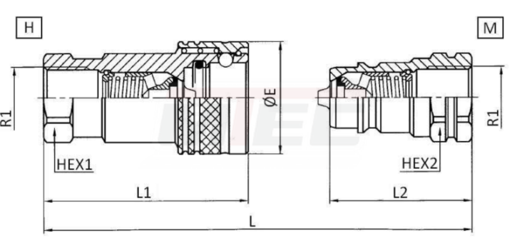 INOX HD-Kupplungsmuffe BSP 1/2" ISO-A 